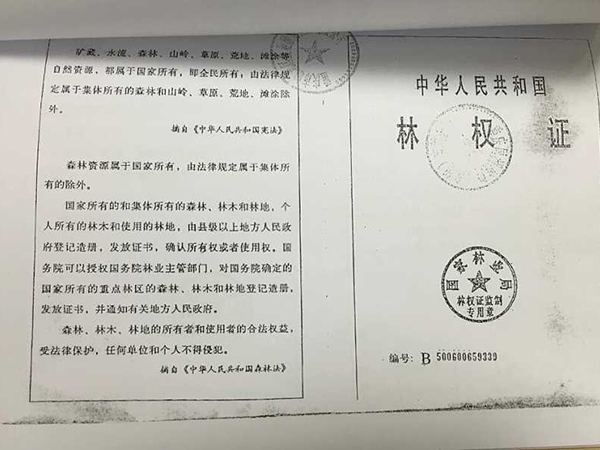 林权拍卖